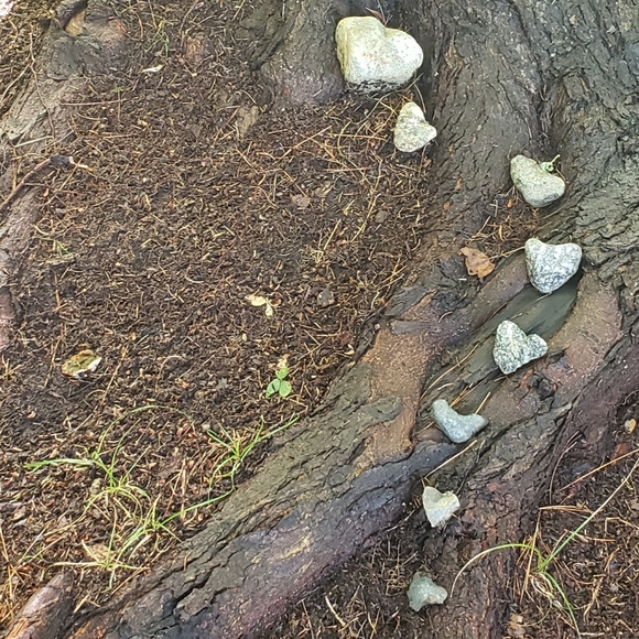 Ode to Heart - Picture 6 of 6